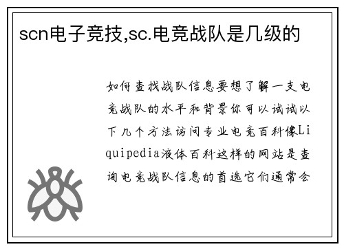 scn电子竞技,sc.电竞战队是几级的